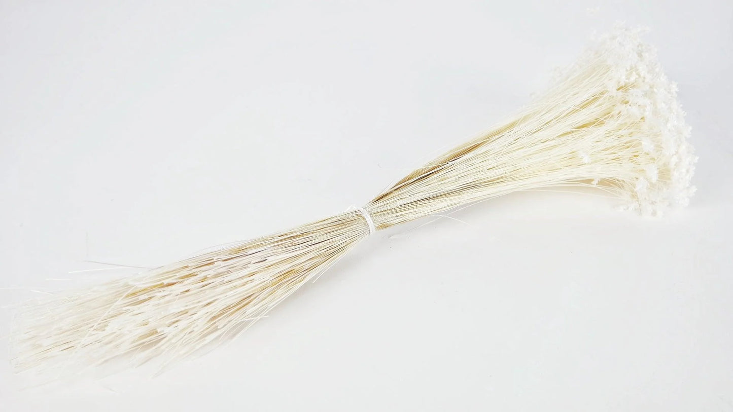 Dried Glixia White