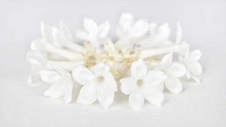 Jasmin stabilisé Earth Matters - Blanc