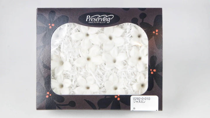 Jasmin stabilisé Earth Matters - Blanc