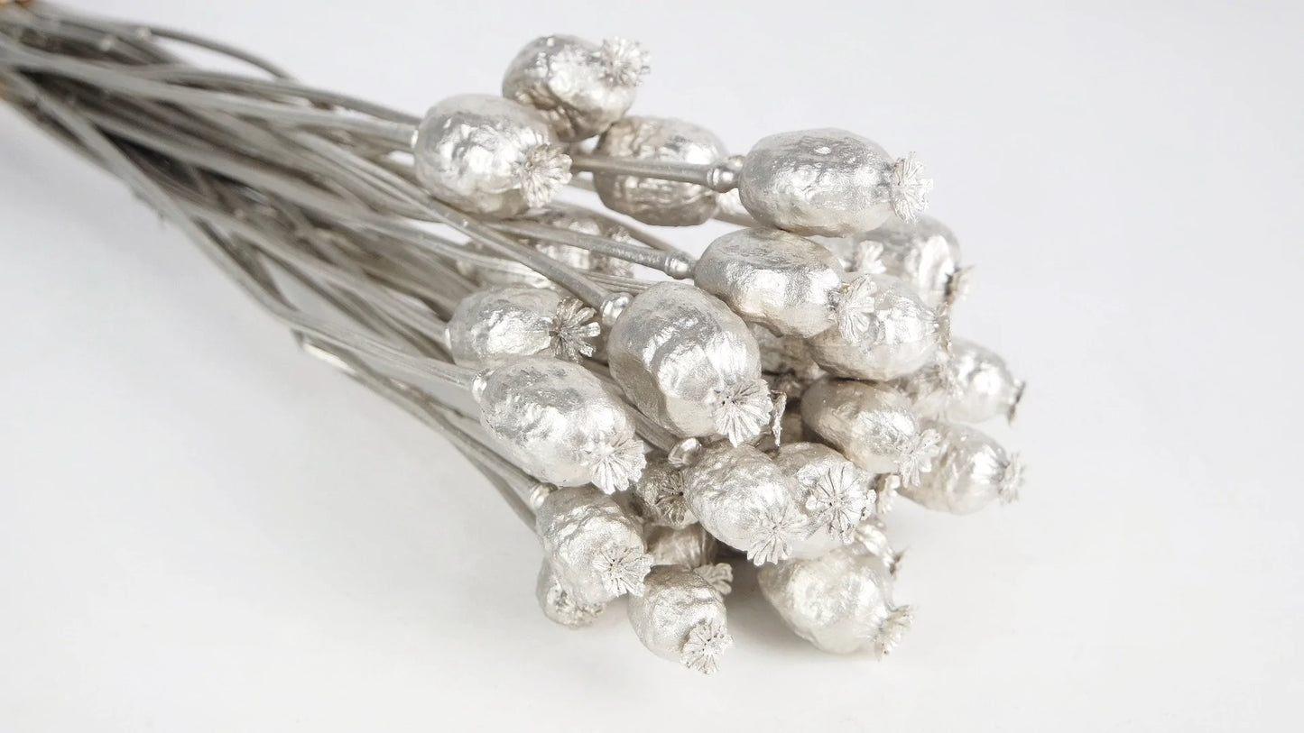 Pavots séchés en botte Or cendré