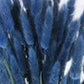 Cobalt Blue Dried Lagurians