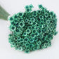 Dried Glixia Emerald Green