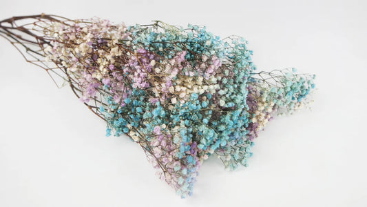 Stabilized Gypsophila - bunch - Blue Rainbow