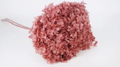 Anna Stabilized Hydrangea - Old Pink