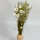 Bouquet of dried green and white flowers