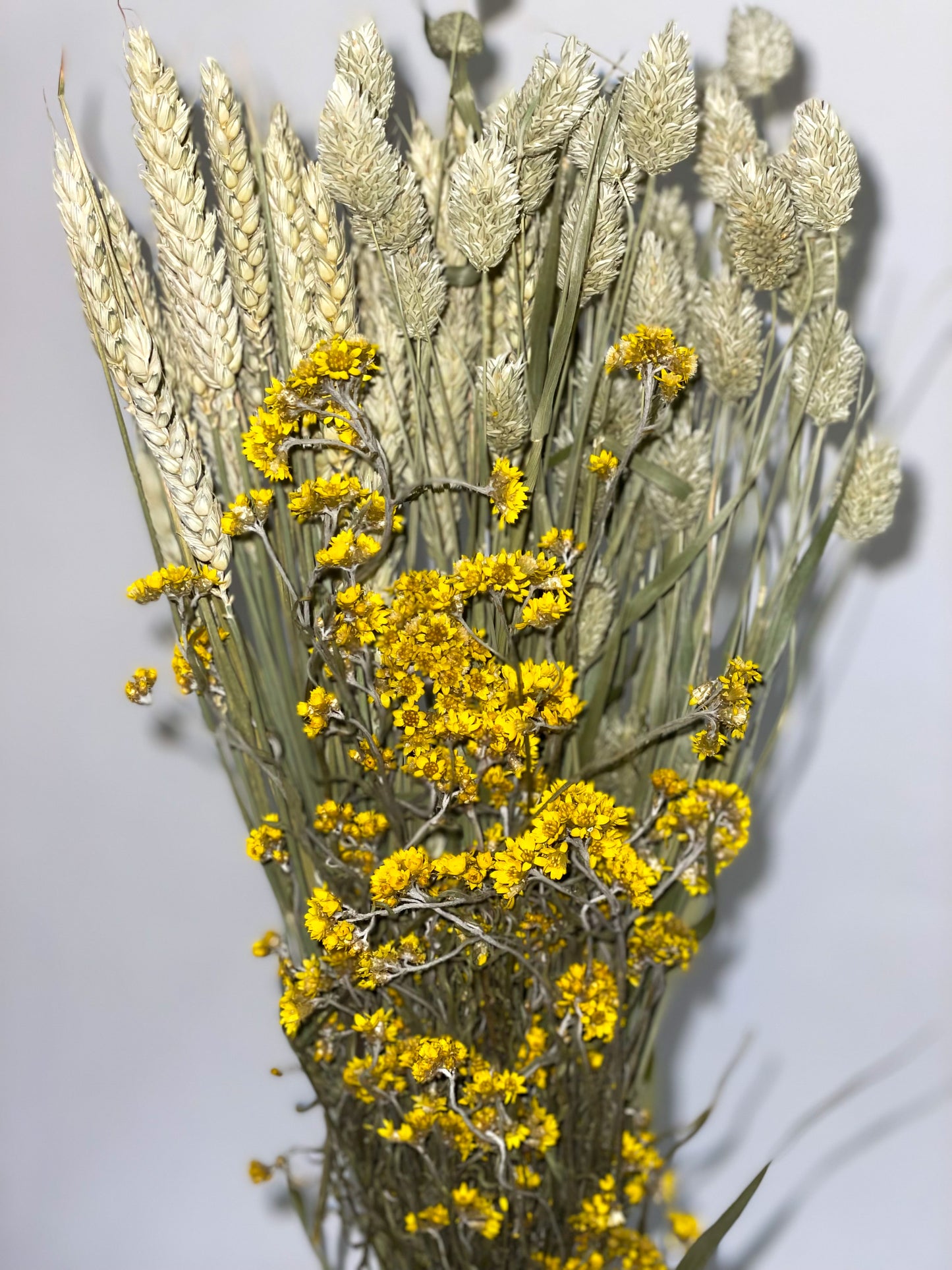 Bouquet of yellow green dried flowers