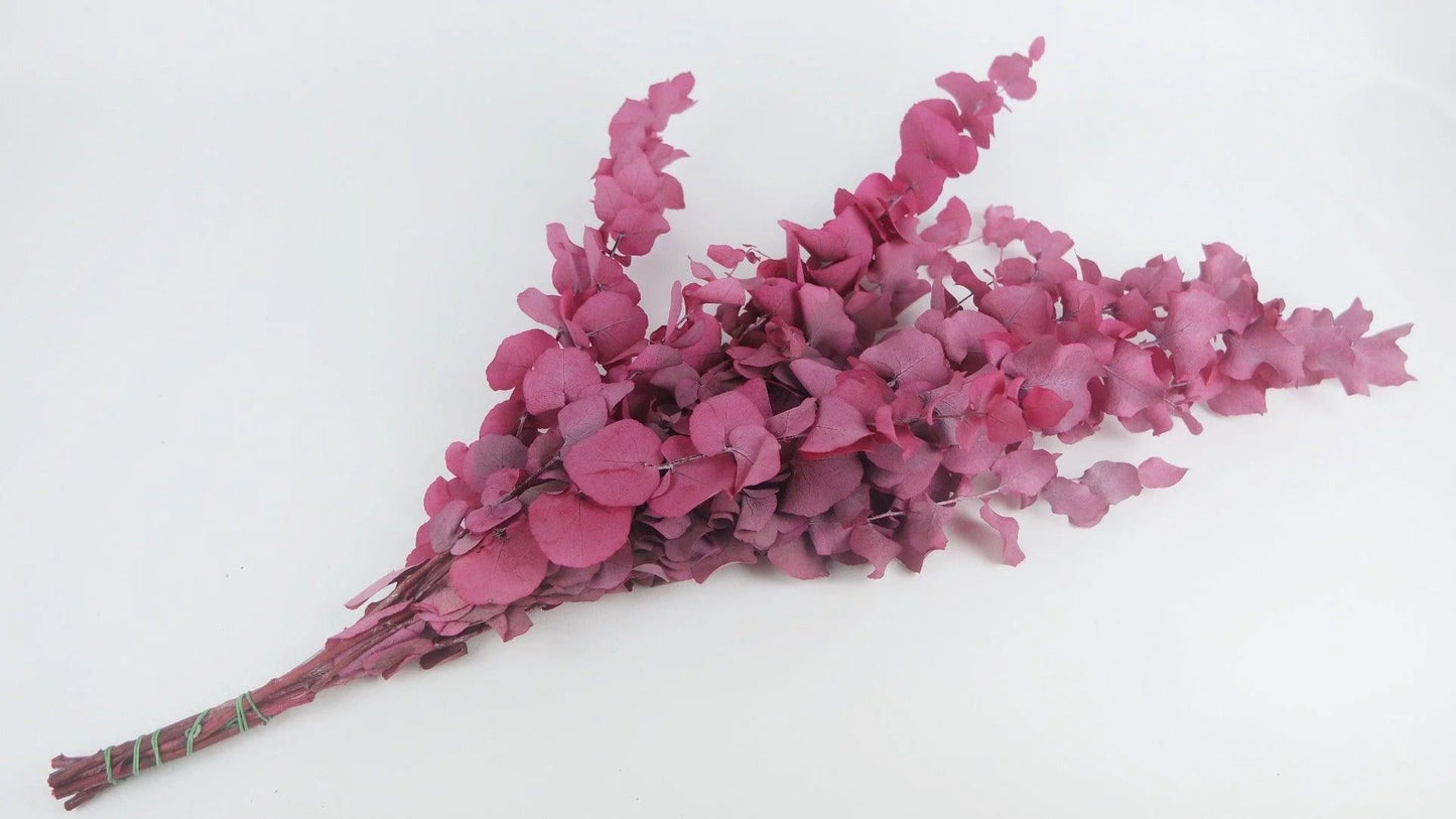 Eucalyptus Stuartiana en botte - Berry