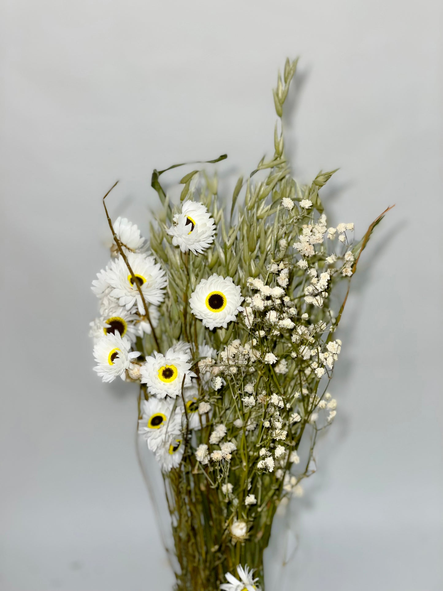 Bouquet of dried green and white flowers