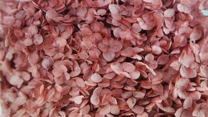 Anna Stabilized Hydrangea - Old Pink