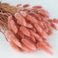 Lagures séchées Vieux Rose