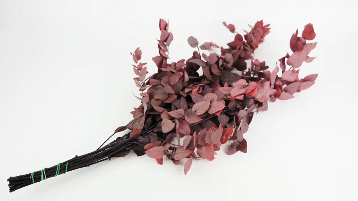 Eucalyptus Stuartiana Rouge