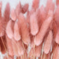 Lagures séchées Vieux Rose