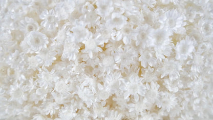 Dried Glixia White