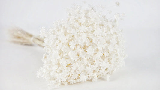 Dried Glixia White