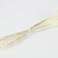 Dried Glixia White