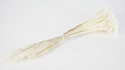 Dried Glixia White