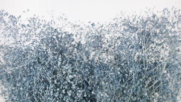 Gypsophile mini stabilisé bleu gris