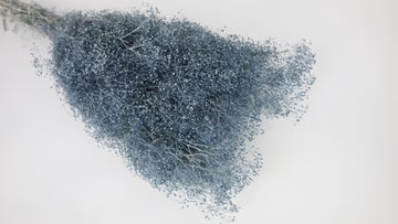 Gypsophile mini stabilisé bleu gris