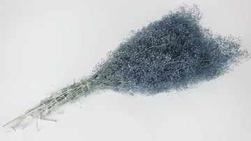 Gypsophile mini stabilisé bleu gris