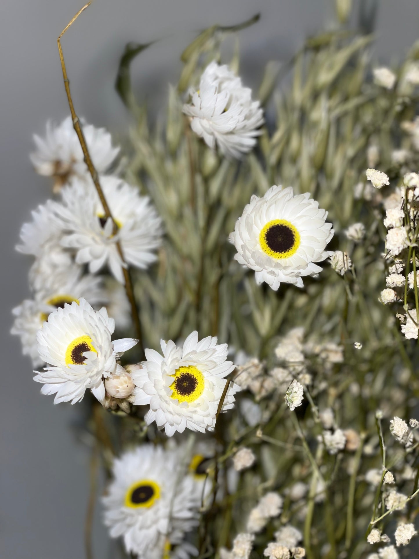 Bouquet of dried green and white flowers