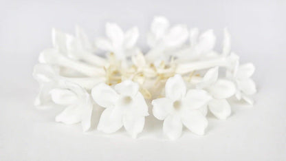 Jasmin stabilisé Earth Matters - Blanc