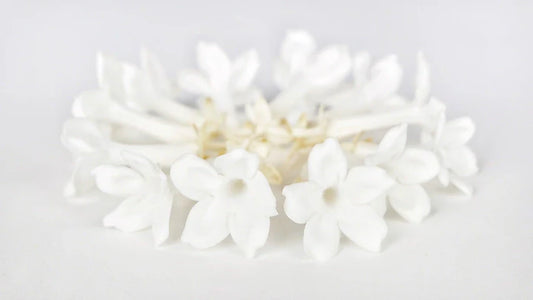 Jasmin stabilisé Earth Matters - Blanc