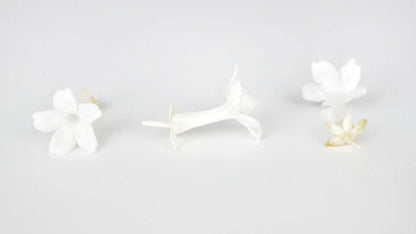 Jasmin stabilisé Earth Matters - Blanc