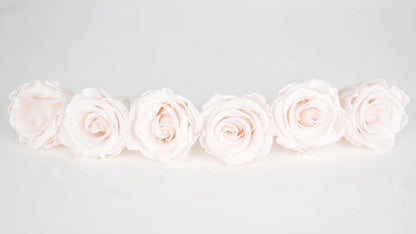 Roses stabilisées 6 cm - 6 têtes - Rose clair