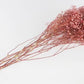 Stabilized gypsophila Pink and white