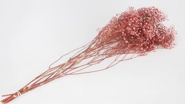 Stabilized gypsophila Pink and white