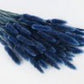 Cobalt Blue Dried Lagurians