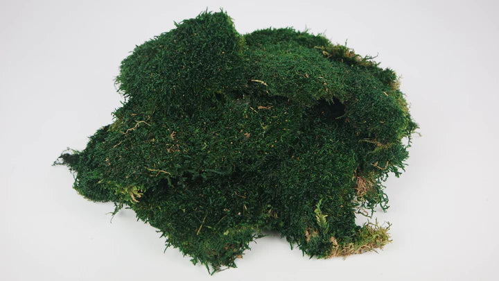 Mousse plate stabilisé Vert foncé 500 g PRO