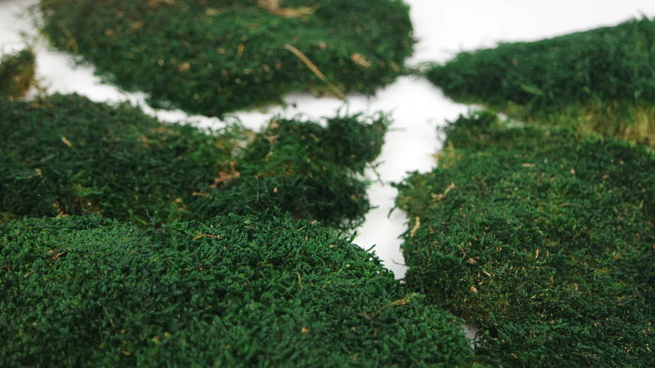 Mousse plate stabilisé Vert foncé 500 g PRO