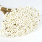 Dried Glixia Natural Color
