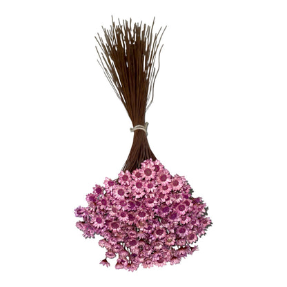 Dried Glixia Glycine