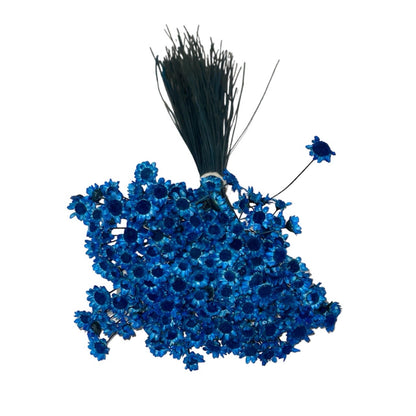 Dried Glixia Blue Sapphire