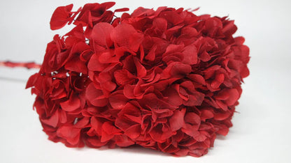 Preserved hydrangea Red