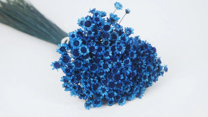 Dried Glixia Blue Sapphire