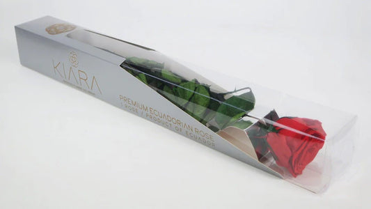 Kiara stabilized rose with 30 cm stem - individually - Vibrant red