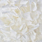 Hortensia stabilisé Blanc - Extra