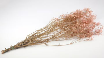 Gypsophile stabilisé rose clair