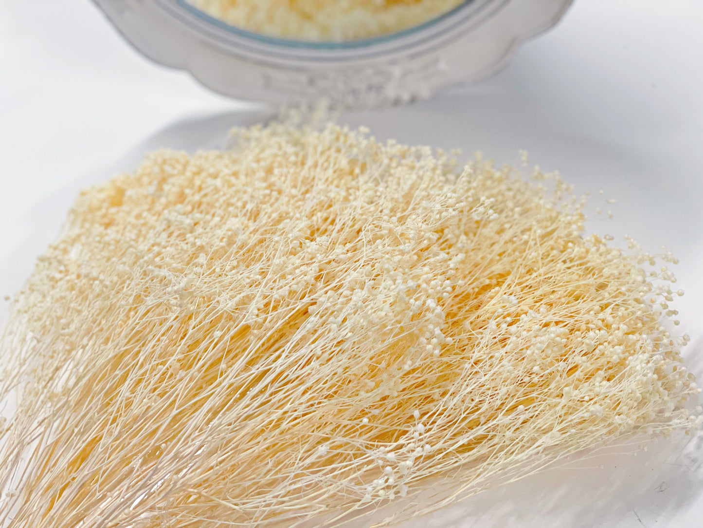 Broom Bloom stabilized Ivory