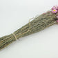 Acroclinium dried natural color pink