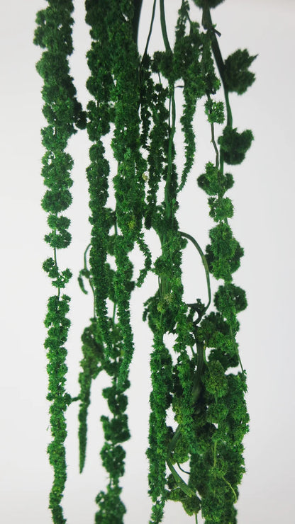 Stabilized leather fern - 10 stems - Grass green