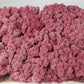 Lichen stabilisé Bordeaux 2,5 Kg PRO