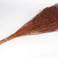 Broom Bloom séché 1 botte Marron