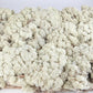 Lichen stabilized Ivory 5 Kg PRO