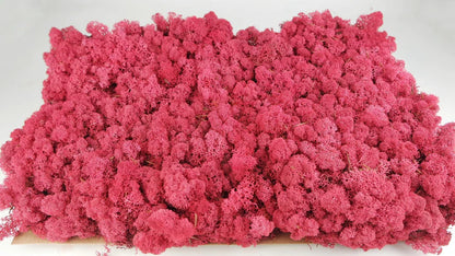 Lichen stabilized Bordeaux 5 Kg PRO