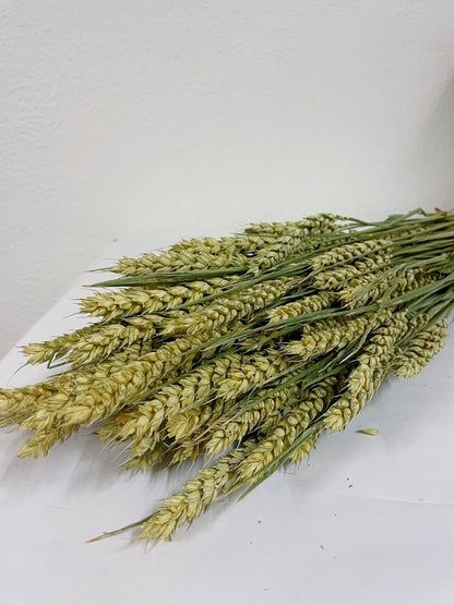 Natural color dried wheat