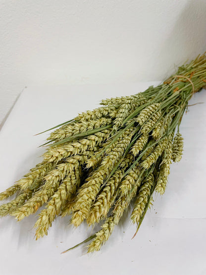 Natural color dried wheat